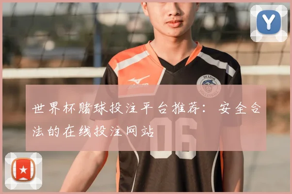 世界杯赌球投注平台推荐：安全合法的在线投注网站