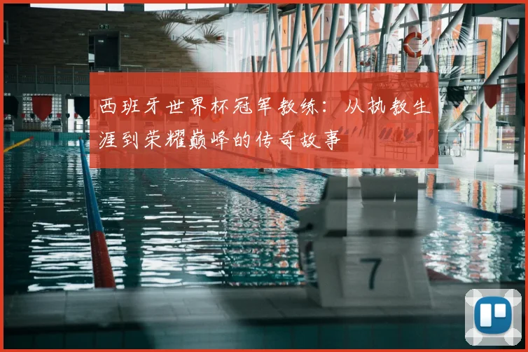西班牙世界杯冠军教练：从执教生涯到荣耀巅峰的传奇故事