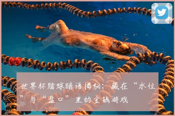 世界杯赌球暗语揭秘：藏在“水位”与“盘口”里的金钱游戏