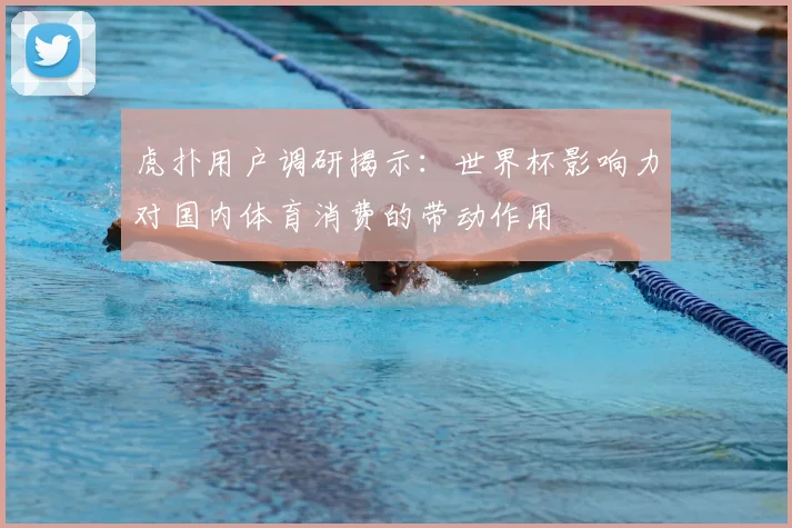 虎扑用户调研揭示：世界杯影响力对国内体育消费的带动作用