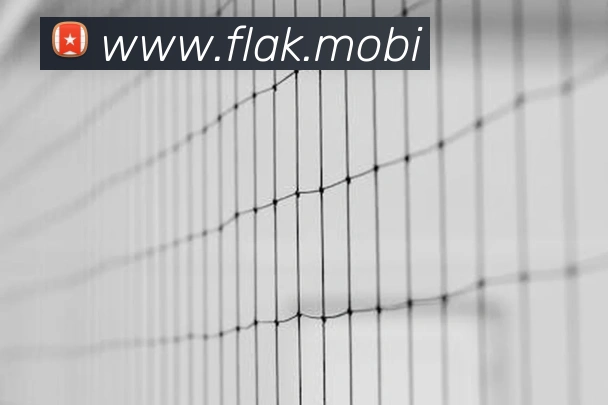 环球app网址品牌故事